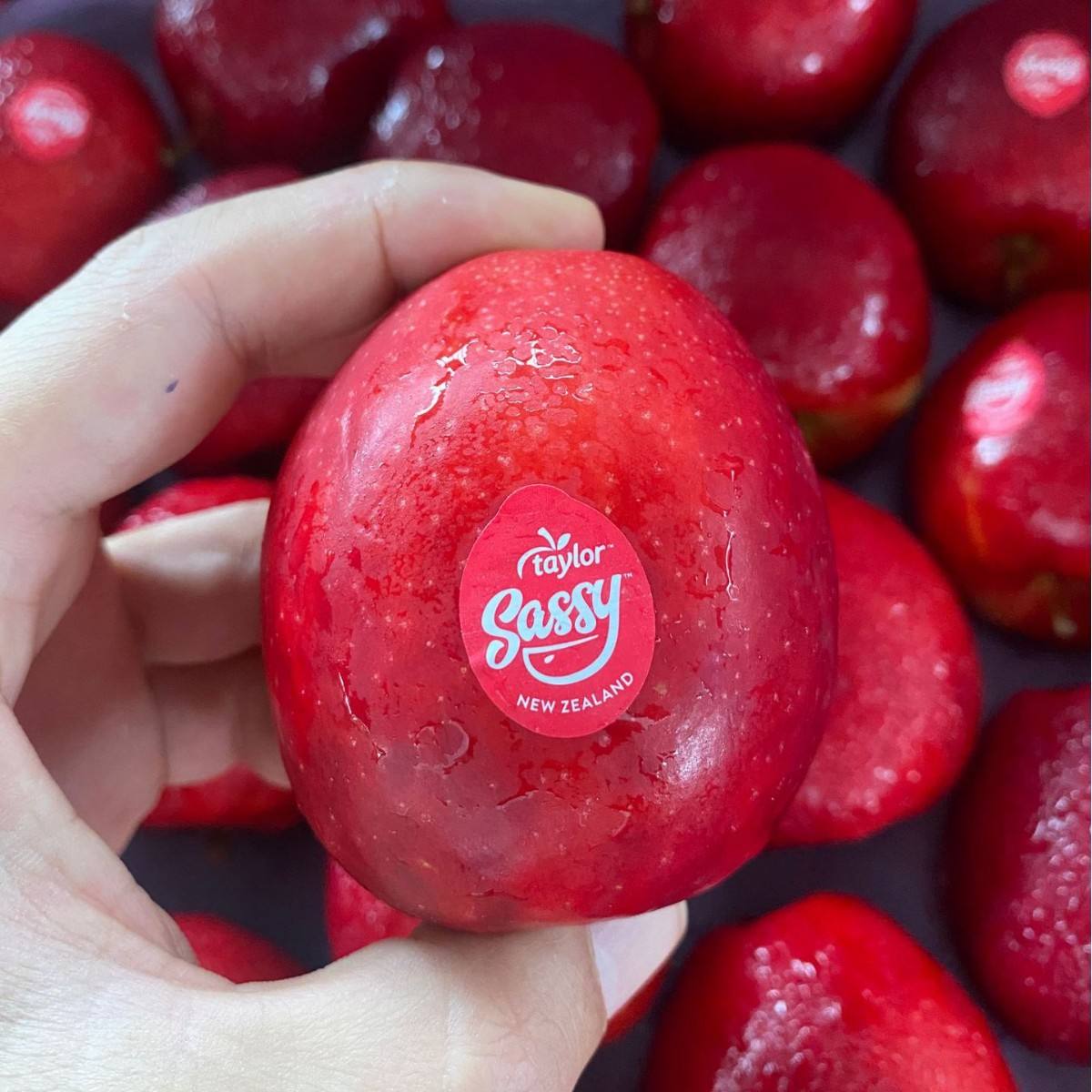 韩版澳版苹果(韩版apple)-第1张图片-QuickQ官网