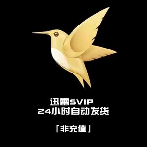 迅雷苹果版企业版(迅雷ios企业版下载beta)-第2张图片-QuickQ官网