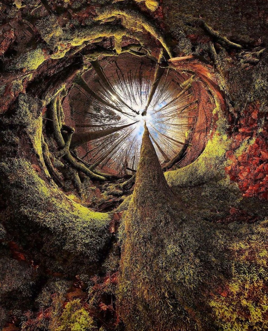 苹果版树洞(苹果版树洞网页版)-第4张图片-QuickQ官网