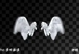 天使之翼无限手机版(天使之翼20版手机游戏)-第4张图片-QuickQ官网