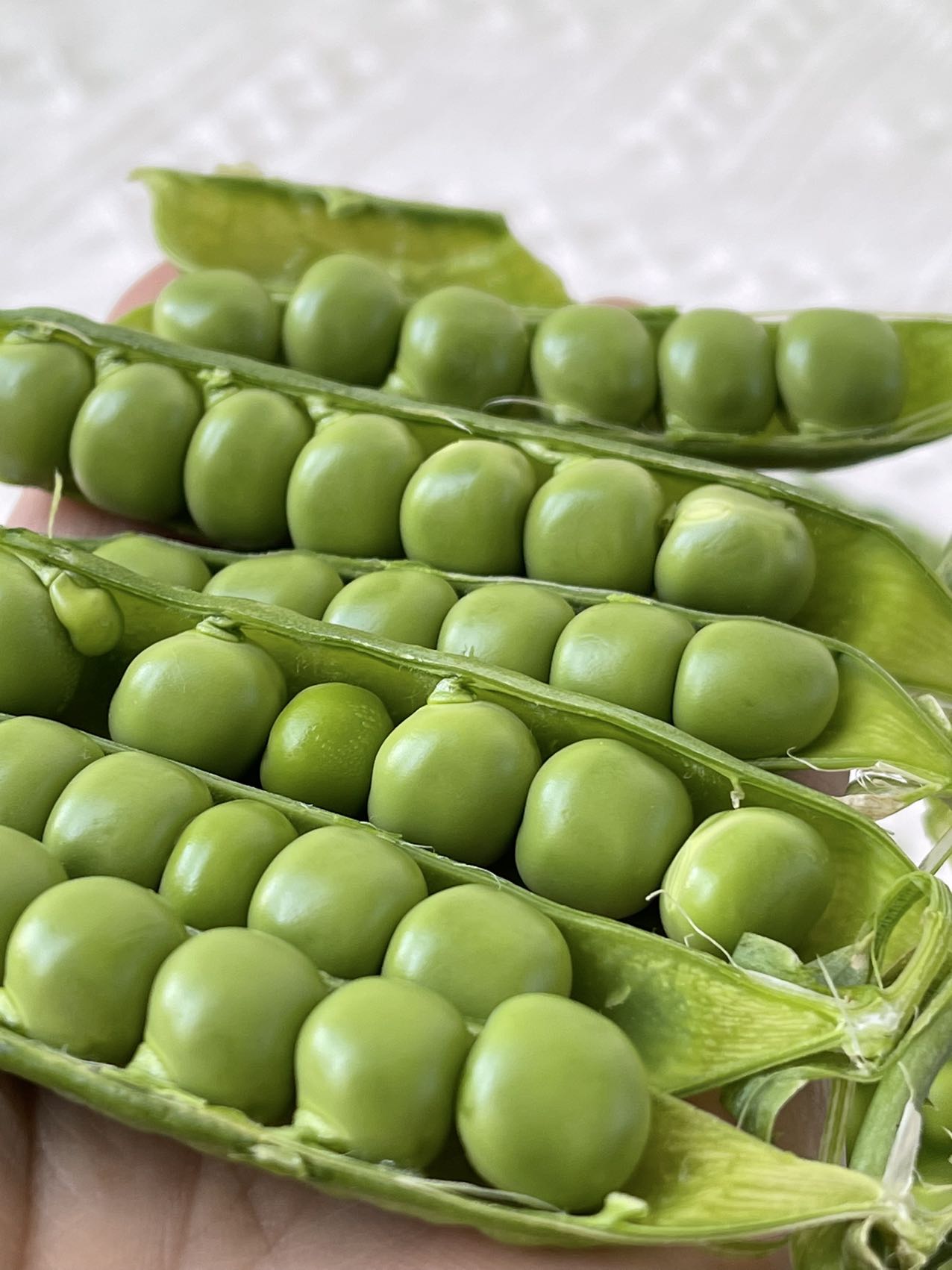 豌豆荚手机版excel(豌豆荚手机版官网)-第2张图片-QuickQ官网