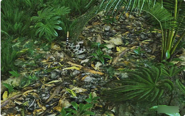 绿色地狱下载手机版安装(绿色地狱手机下载中文版本免费)-第3张图片-QuickQ官网