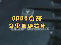 怎么隐藏手机版qq号(怎么隐藏手机版号不被发现)-第3张图片-QuickQ官网 怎么隐藏手机版qq号(怎么隐藏手机版号不被发现)-第3张图片-QuickQ官网